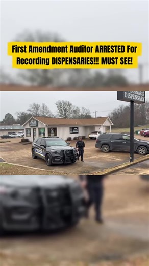 Understanding First Amendment Audits