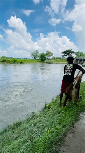 Big giant fish catch by cast net.💓 #viral #fishing #castnetfishing #castnet