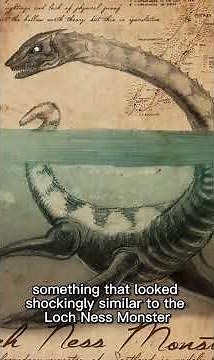 “Do You Believe Sea Monsters Are Real?” #seamonsters #mystery #history #legend #cryptids