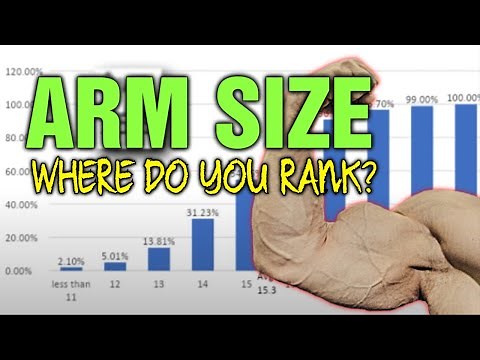 Arm Size || Where Do You Rank? How Big Are Your Arms vs My Subscribers