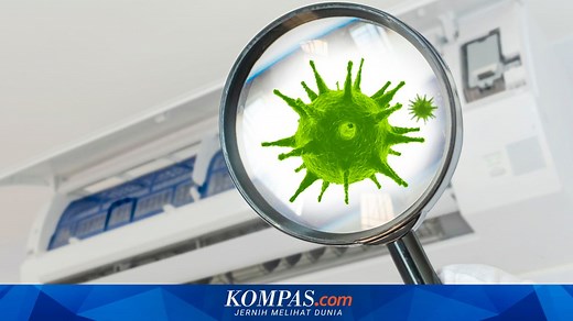 Virus, Sejarah Penemuan, dan Ciri-Cirinya