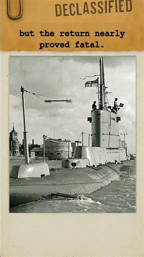 The Submarine That Survived Friendly Fire, HMS Seahorse | #history #story #fyp