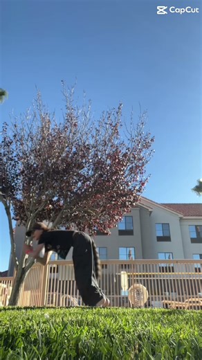 ￼I finally did a quadrats video. Yay!!!!!!￼🐾🐾 #therain #therains #therainoutside