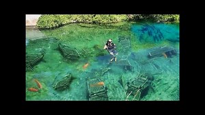 SCUBA DIVING in The HOOD for TREASURE!