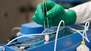 Doctors investigate why some report rebound in COVID symptoms after Paxlovid