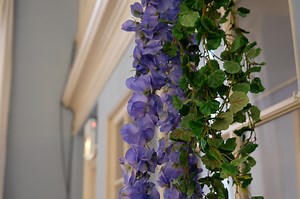 Events | Meditation Center of Chicago