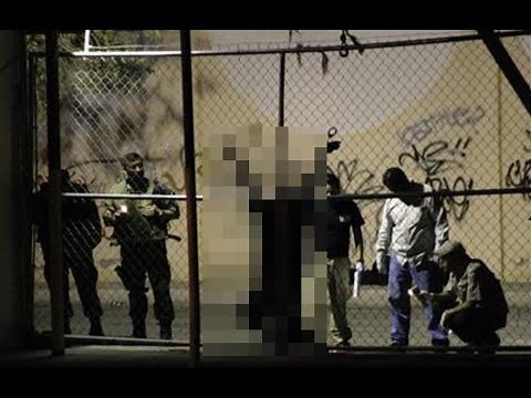 WHY DO WE LIKE GORE?