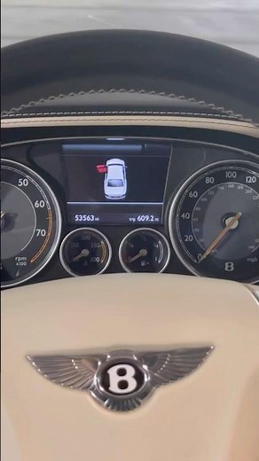 Bentley Flying Spur W12 Startup 💪