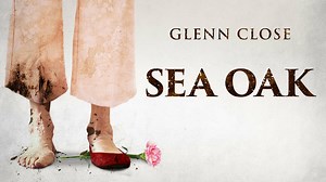 Sea Oak - Amazon Prime Video Series