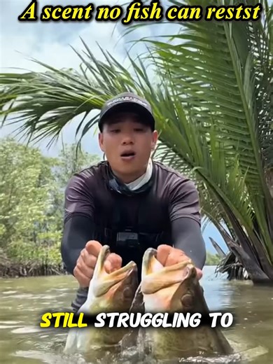 The Ultimate Red Worm Liquid Bait for Fishing