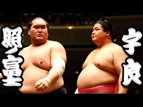 大相撲 照ノ富士ー宇良 ＜令和５年五月場所・５日目＞SUMO
