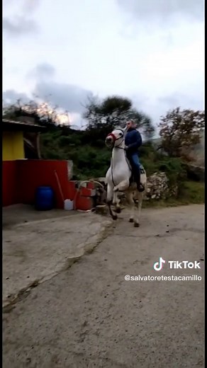 Video di Salvatore Testa Cami (@salvatoretestacamillo) con