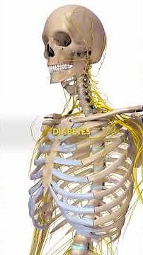 How Diabetes Damage Your Body