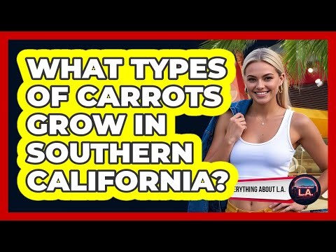What Types Of Carrots Grow In Southern California?