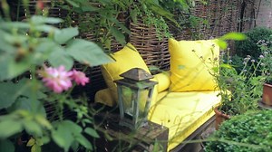 It’ll Never Be a Garden if You Call it a Yard