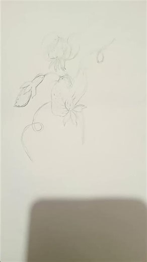 Beautiful flower sketches. Beginners friendly ❤️🌸