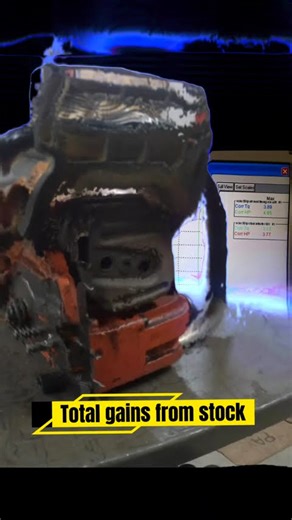 Echo Cs 501p - 4.8hp