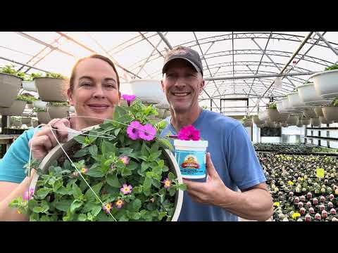 The Easiest Way to Fertilize Plants 🌿 (Hose-End Sprayer Guide)