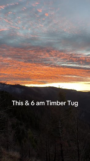 Timber Tugging Adventures in Montana