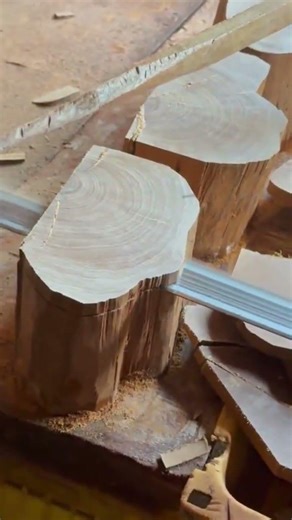 cutting small wooden logs horizontally using a band saw machine neatly and precisely