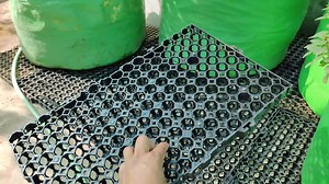 23K views · 786 reactions | टेरेस गार्डनिंग में ड्रेन मेट का इस्तेमाल क्यों करें? जानें फायदे और इस्तेमाल करने का तरीका | Terrace & Gardening | Facebook