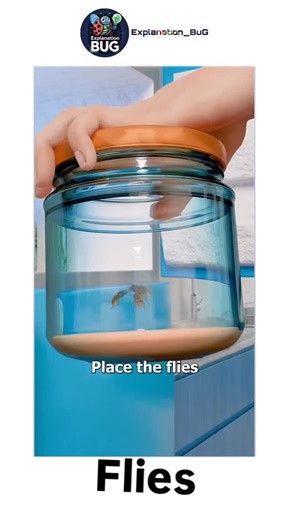 @explaination_bug on Instagram: "Flies have a mobile head, with a pair of large compound eyes, and mouthparts designed for piercing and sucking (mosquitoes, black flies and robber flies), or for lapping and sucking in the other groups. Their wing arrangement gives them great manoeuvrability in flight, and claws and pads on their feet enable them to cling to smooth surfaces. Flies undergo complete metamorphosis; the eggs are often laid on the larval food-source and the larvae, which lack true lim