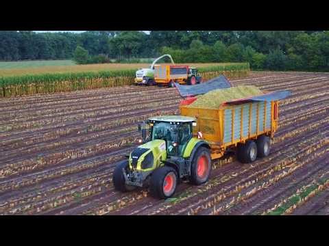 2025 Poppink corn silage