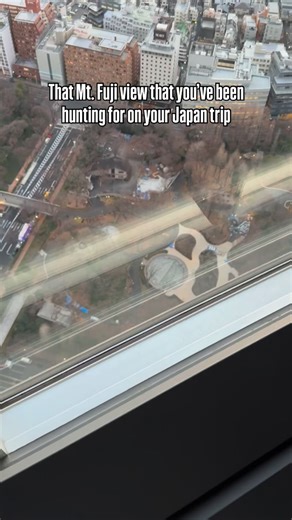 Not so much of a secret, but the Tokyo Metropolitan Government Building is definitely one of the best places to see Tokyo from above. It offers panoramic city views, and the sunset here is absolutely worth timing your visit for. On clear days, Mt. Fuji appears on the horizon, making it even more special. Entry is completely free, and there’s no need to reserve in advance—just check the opening hours and time your visit around sunset. #tokyometropolitangovernmentbuilding #TokyoTravel #MtFuji #Jap