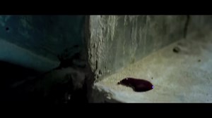 Password - PASSWORD - Official Trailer (Eid 2019)