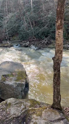 Spring is coming, the Outdoors no filter.