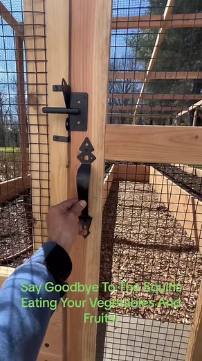 Full Enclosure Raised Vegetable Garden Benefits