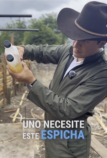 Tratamiento efectivo para garrapatas en ganado Angus