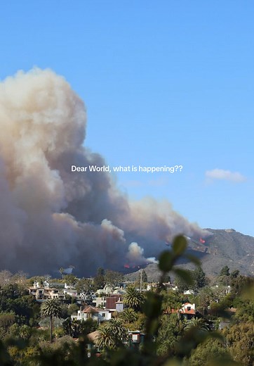 What to Do Now Amid Palisades Wildfire