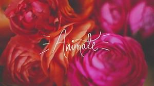 243K views · 801 reactions | Find out how to give hand-lettering this...