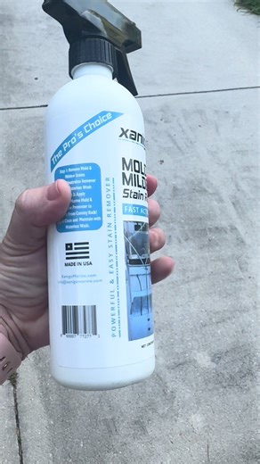 Efectiva eliminación de moho en 90 segundos