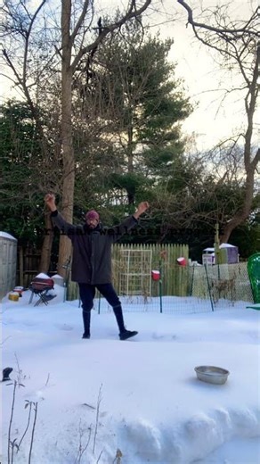 xingyiquan openings practice #forms #exercise january 26, 2026 8:46am #outdoors #shortsfilm #video