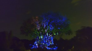 Return to Pandora: The World of Avatar and immerse yourself in the underwater world of "Avatar: The Way of Water" with new merchandise and experiences, including a new Tree of Life projection sequence at Disney's Animal Kingdom! 🌊 🌳 http://spr.ly/61863EGQe | Disney Parks