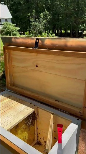 Horizontal Layens Hive - Easy on the Bees and the Beekeepers #beehive #natural #honeybee #honeycomb