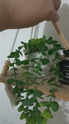 Room diffuser