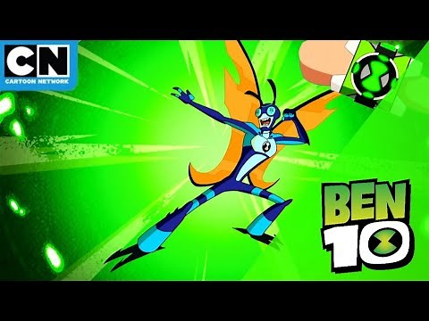Ben 10 Reboot | Stinkfly's Best Moments | Cartoon Network