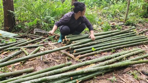 A homeless girl was helped by a kind man, the story moved millions of people | Thai Mom