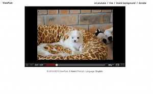 Ethical decision making: to use youtube or not to use  youtube