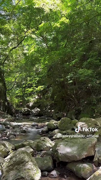 箕面公園で感じる自然の美