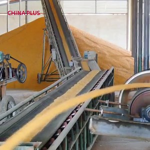 It's the corn harvest season in Bortala Mongol Autonomous Prefecture in #Xinjiang. Watch the harvesters working out in the field and how they directly peel the corn kernels from the cobs. | China Plus America