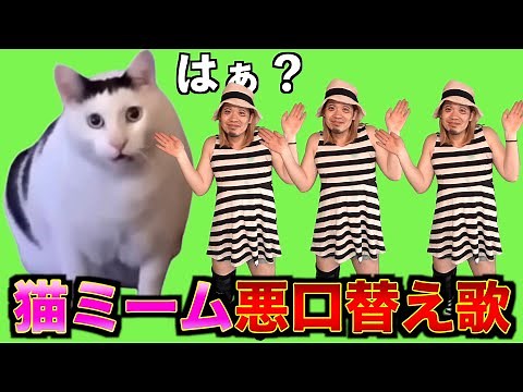 【猫ミーム】母の悪口で替え歌作ったらブチギレられた