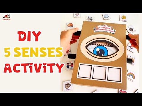 DIY 5 Senses Matching Game for Kids | Easy Cardboard Preschool Activity ✋👂👀👄👃