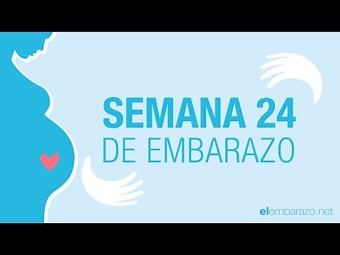 Week 24 of Pregnancy | 24 Weeks Pregnant | Pregnancy Week by Week