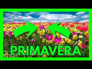 PRIMAVERA 😀 ¿Cuándo EMPIEZA? ¿Qué es un EQUINOCIO? 👉 CURIOSIDADES QUE NO SABIAS 👈 ⏰ EN 10 MINUTOS ⏰