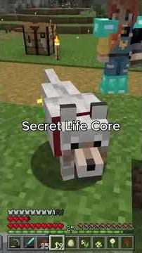 Secret life Core #shorts