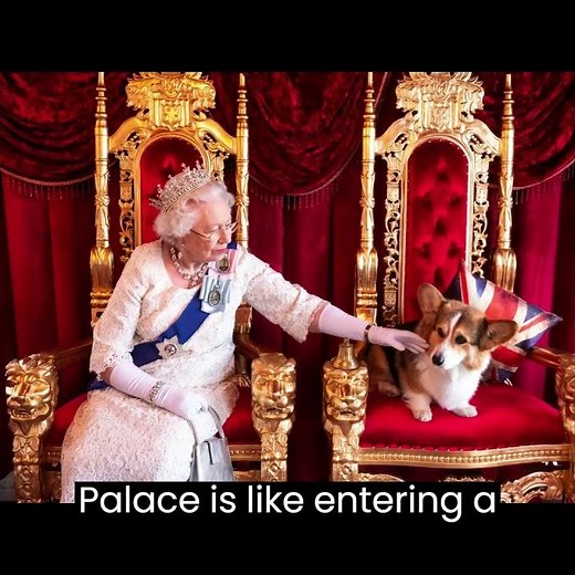 Exploring Buckingham Palace